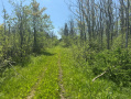 IMG_8274.jpg
