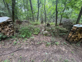 IMG_8573.jpg