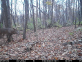 Image-15_3.jpg