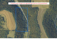 LandPicture.jpg