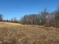 Monroe22212_1.jpg