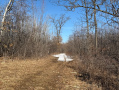 Monroe22213_1.jpg