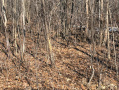 Monroe22214_1.jpg