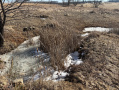 Monroe22216_1.jpg