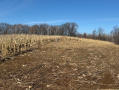 Monroe22219_1.jpg