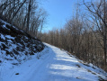 Monroe22237_1.jpg