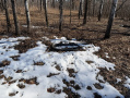 Monroe2229_1.jpg