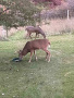 PART_1748455257889_250528_125851_73.JPG