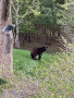 PART_1748455289045_250528_125851_65.JPG