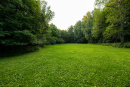 S38A0006.jpg