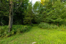 S38A0007.jpg