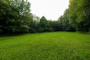 S38A0008.jpg