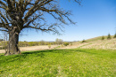S38A0700_1.jpg