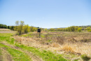 S38A0788.jpg