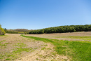 S38A0796.jpg