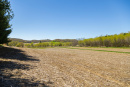 S38A0797.jpg
