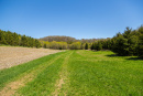 S38A0807_1.jpg