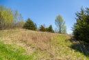 S38A0827.jpg