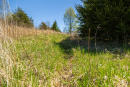 S38A0828.jpg