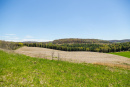 S38A0830.jpg
