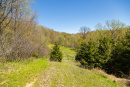 S38A0852.jpg