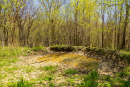 S38A0853.jpg