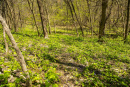 S38A0858.jpg