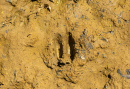S38A0860.jpg