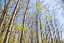 S38A0865.jpg