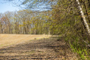 S38A0868.jpg