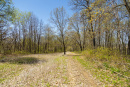 S38A0873.jpg