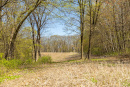 S38A0875.jpg