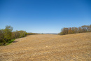 S38A0877.jpg