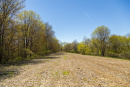 S38A0882.jpg