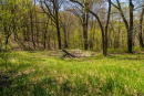 S38A0886.jpg
