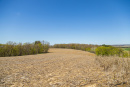 S38A0889.jpg