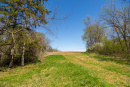 S38A0893.jpg