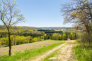 S38A0895.jpg