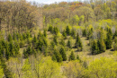 S38A0898.jpg