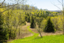 S38A0900_1.jpg
