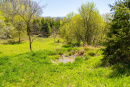 S38A0901.jpg