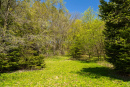 S38A0907.jpg