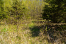 S38A0909.jpg