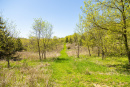 S38A0910_1.jpg