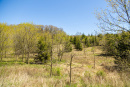 S38A0912.jpg
