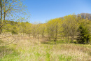 S38A0919.jpg