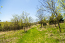 S38A0921.jpg