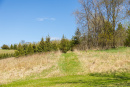 S38A0932.jpg