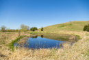 S38A0933.jpg