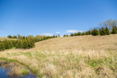 S38A0937.jpg